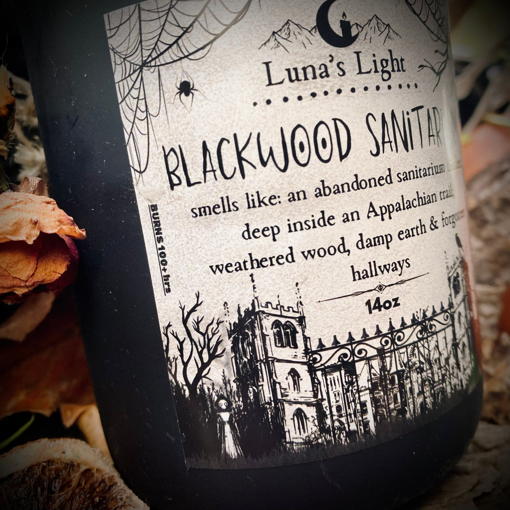 Blackwood Sanitarium {ft. The Flatwoods Monster}