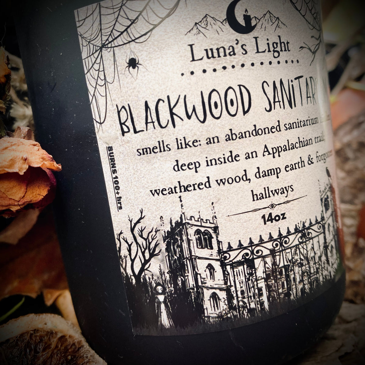 Blackwood Sanitarium {ft. The Flatwoods Monster}