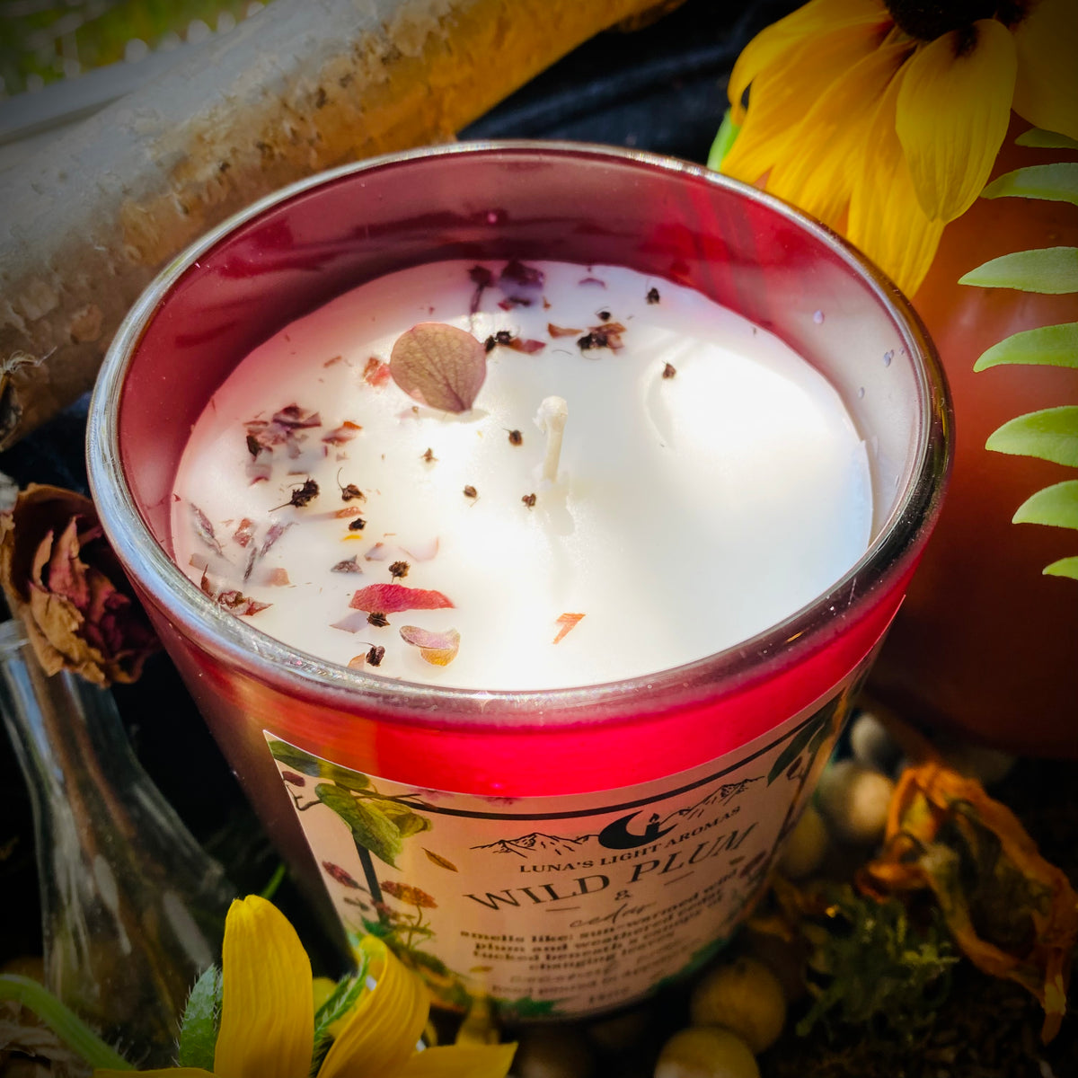 Wild Plum & Cedar