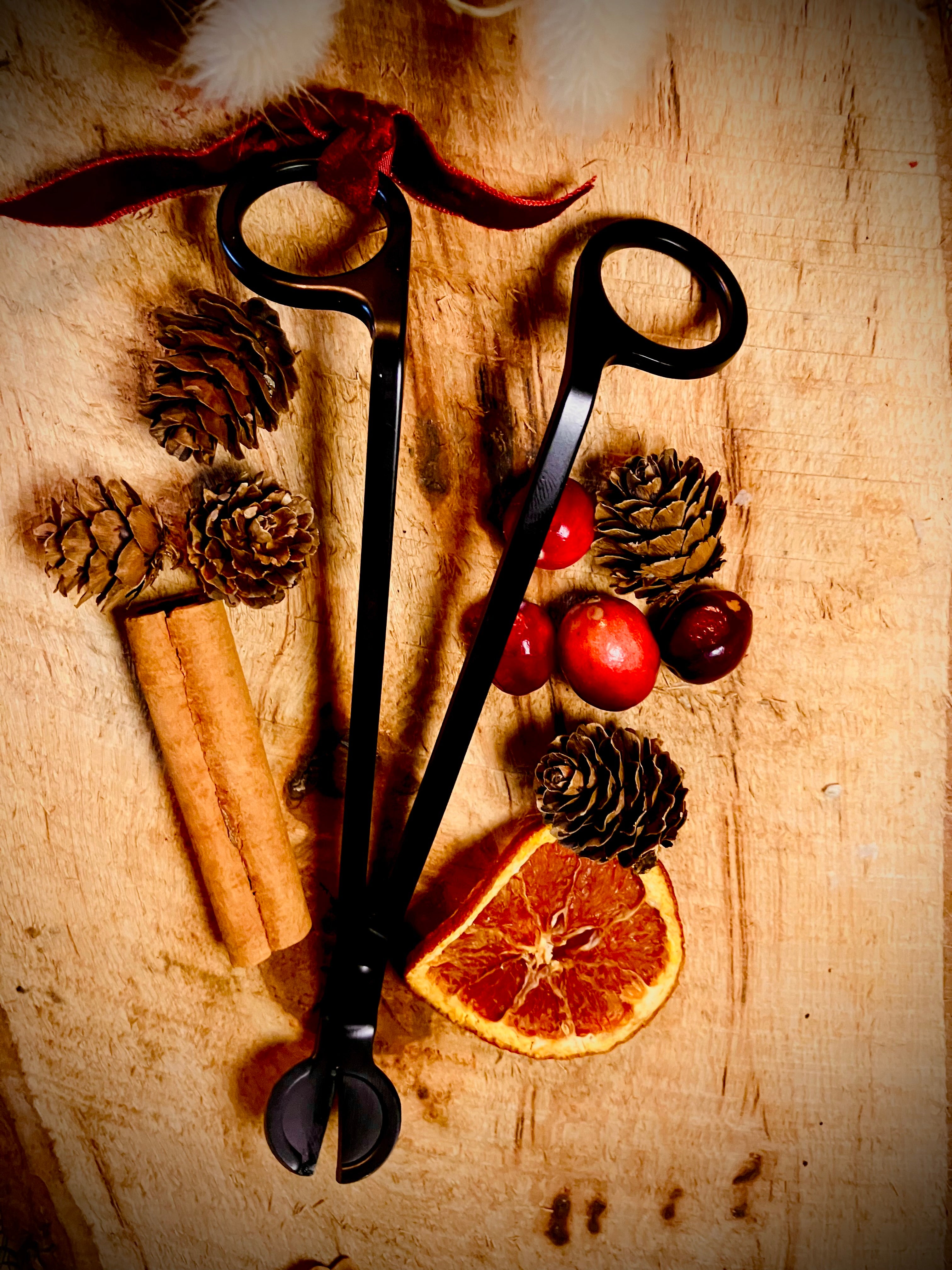 Stainless Steel Wick Trimmer