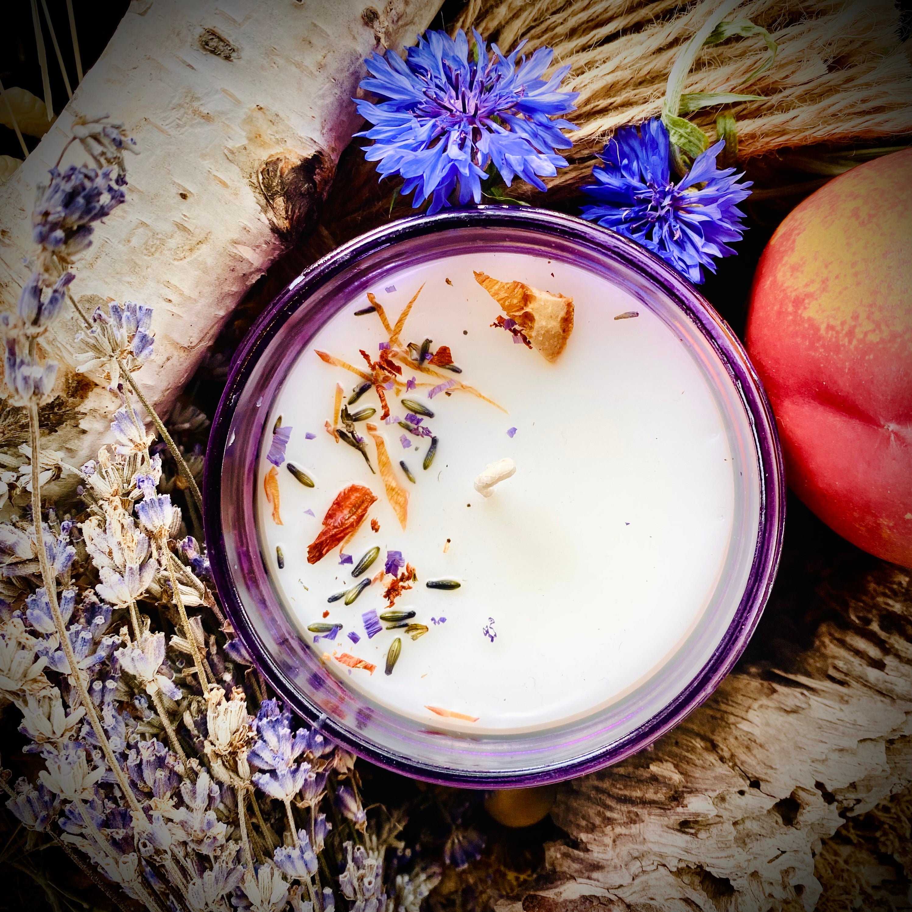 Lavender Apricot