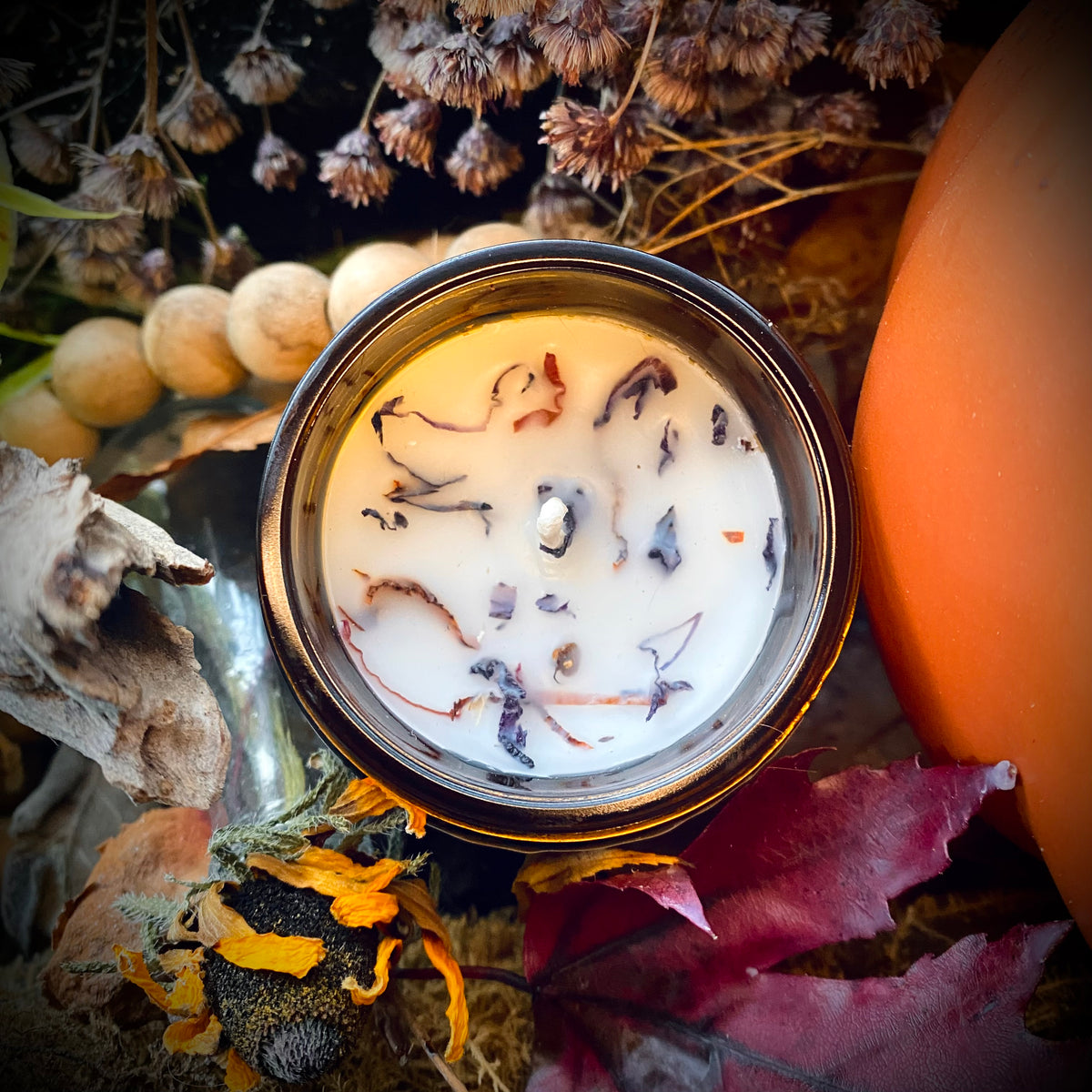 Wild Plum & Cedar