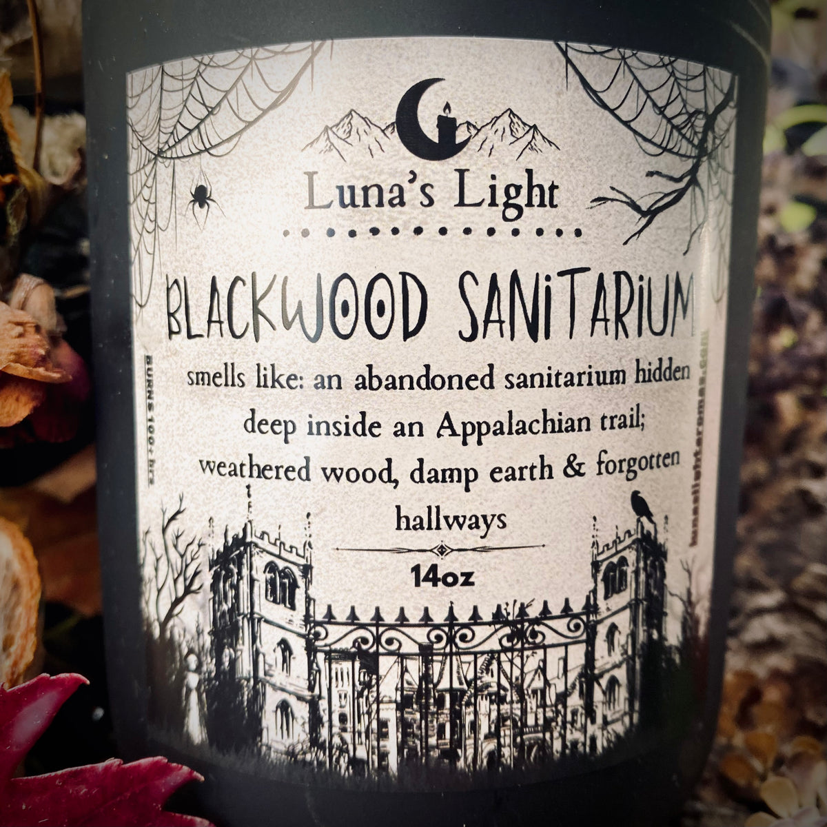 Blackwood Sanitarium {ft. The Flatwoods Monster}