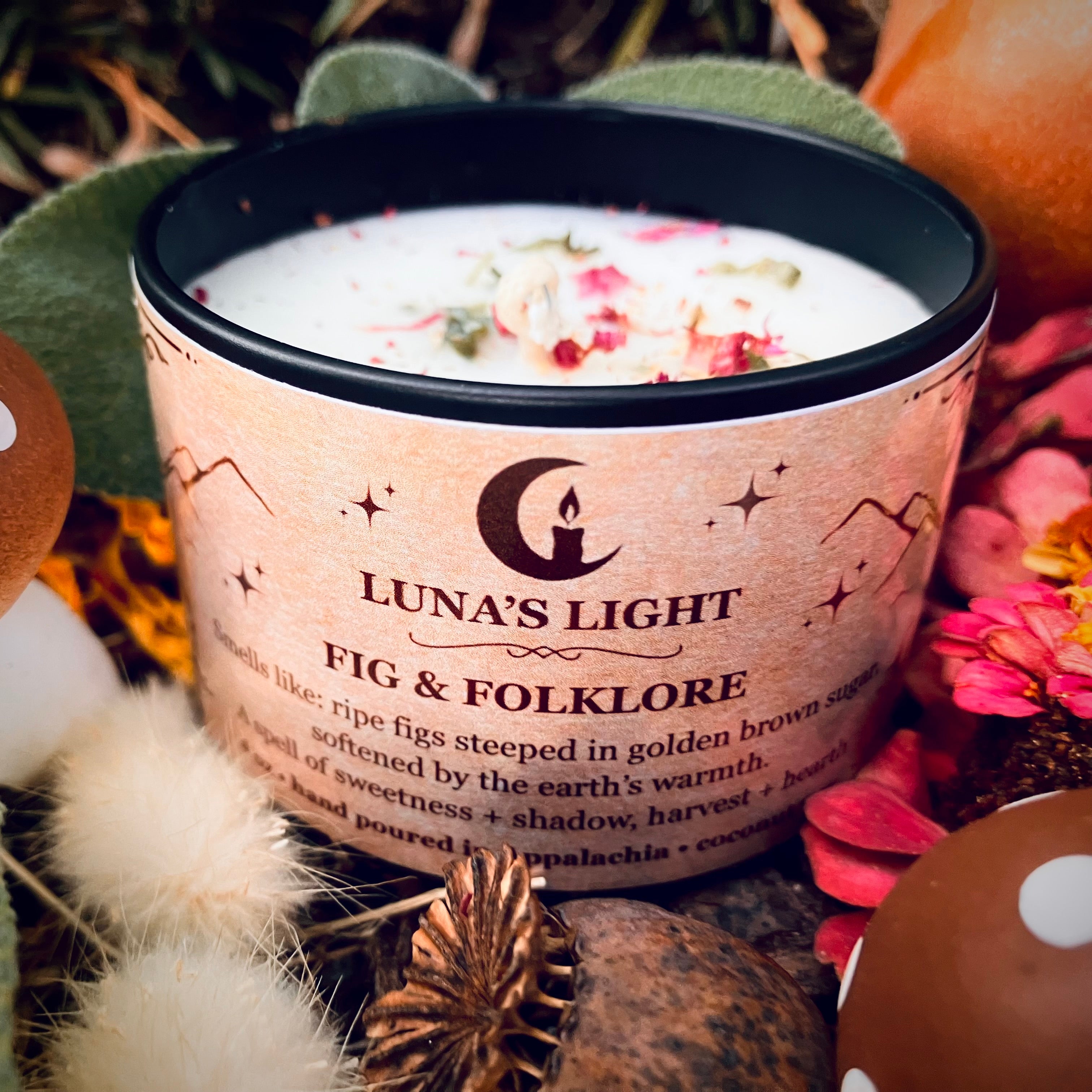 Fig & Folklore