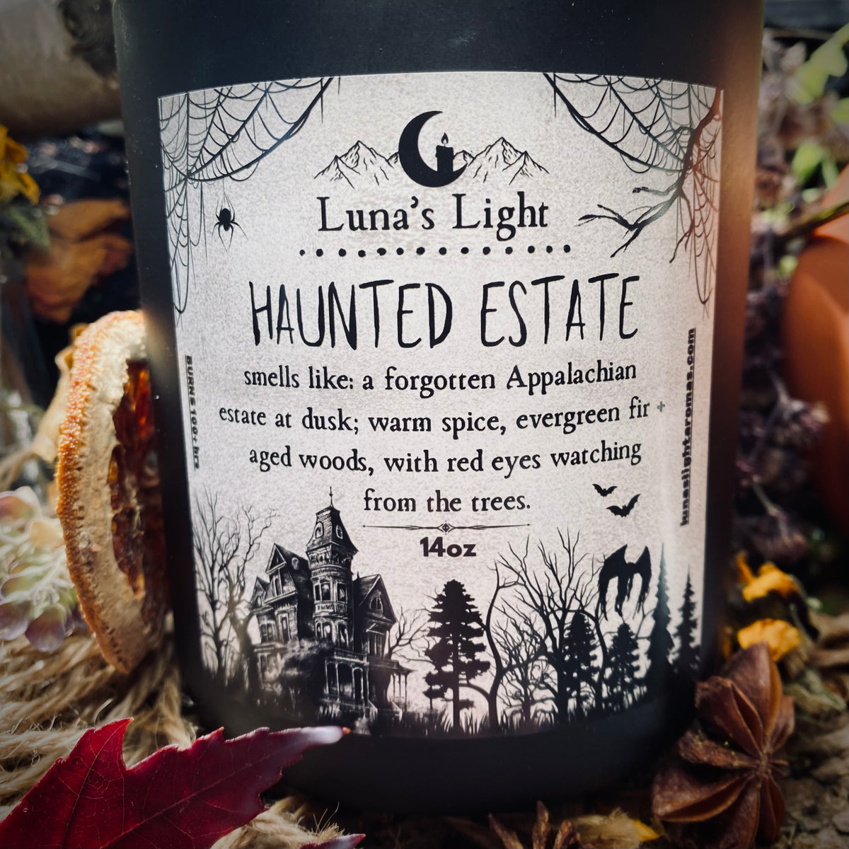Haunted Estate {ft. Mothman}